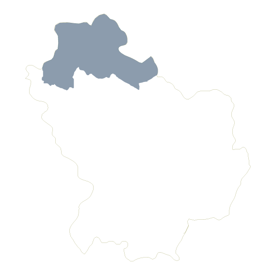 Vulture Melfese